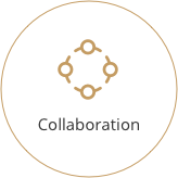 Collaboration